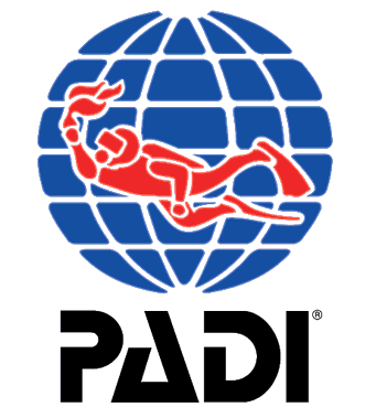 Lazy Seal Diving profesyonel, kaliteli ve kişiselleştirilmiş eğitim sunmayı ilke edinmiş bir tüplü dalış (scuba) merkezidir. İstanbul tüplü dalış eğitimi merkezi