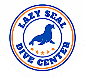 Lazy Seal Diving profesyonel, kaliteli ve kişiselleştirilmiş eğitim sunmayı ilke edinmiş bir tüplü dalış (scuba) merkezidir. İstanbul tüplü dalış eğitimi merkezi