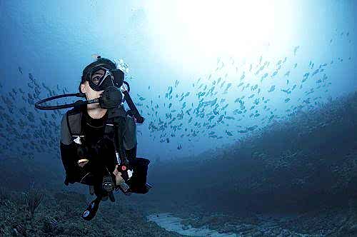 Lazy Seal Diving profesyonel, kaliteli ve kişiselleştirilmiş eğitim sunmayı ilke edinmiş bir tüplü dalış (scuba) merkezidir. İstanbul tüplü dalış eğitimi merkezi