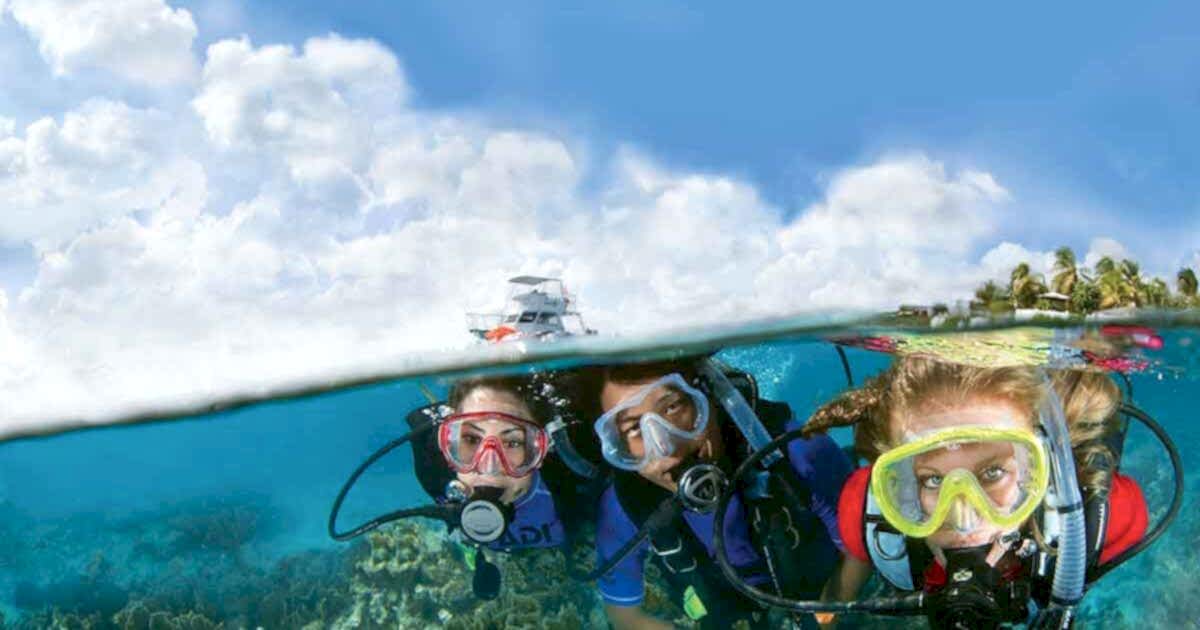 Lazy Seal Diving profesyonel, kaliteli ve kişiselleştirilmiş eğitim sunmayı ilke edinmiş bir tüplü dalış (scuba) merkezidir. İstanbul tüplü dalış eğitimi merkezi