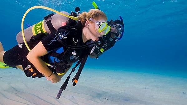 Lazy Seal Diving profesyonel, kaliteli ve kişiselleştirilmiş eğitim sunmayı ilke edinmiş bir tüplü dalış (scuba) merkezidir. İstanbul tüplü dalış eğitimi merkezi