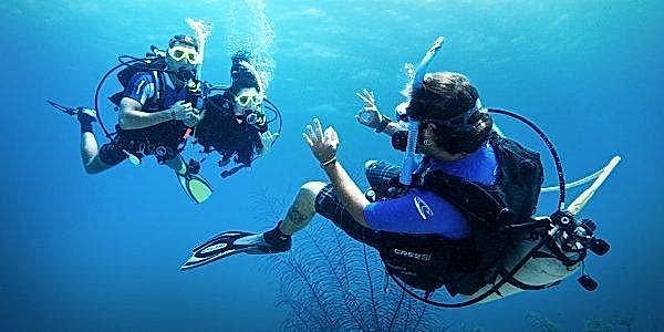 Lazy Seal Diving profesyonel, kaliteli ve kişiselleştirilmiş eğitim sunmayı ilke edinmiş bir tüplü dalış (scuba) merkezidir. İstanbul tüplü dalış eğitimi merkezi