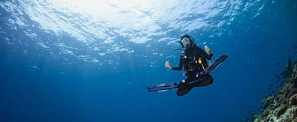 Lazy Seal Diving profesyonel, kaliteli ve kişiselleştirilmiş eğitim sunmayı ilke edinmiş bir tüplü dalış (scuba) merkezidir. İstanbul tüplü dalış eğitimi merkezi