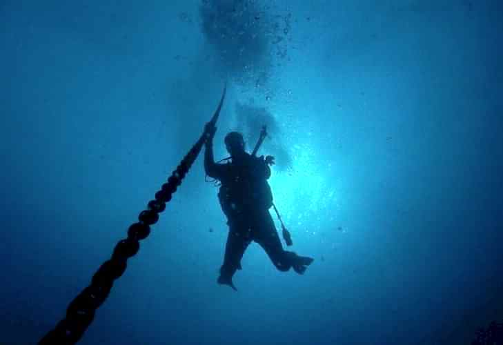 Lazy Seal Diving profesyonel, kaliteli ve kişiselleştirilmiş eğitim sunmayı ilke edinmiş bir tüplü dalış (scuba) merkezidir. İstanbul tüplü dalış eğitimi merkezi