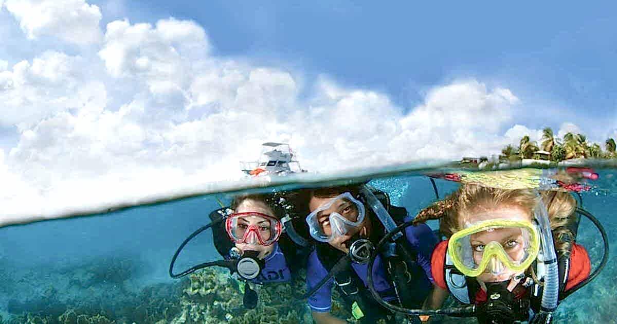 Lazy Seal Diving profesyonel, kaliteli ve kişiselleştirilmiş eğitim sunmayı ilke edinmiş bir tüplü dalış (scuba) merkezidir. İstanbul tüplü dalış eğitimi merkezi