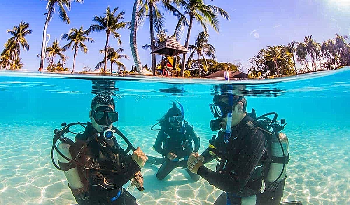 Lazy Seal Diving profesyonel, kaliteli ve kişiselleştirilmiş eğitim sunmayı ilke edinmiş bir tüplü dalış (scuba) merkezidir. İstanbul tüplü dalış eğitimi merkezi