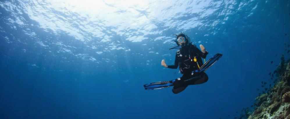 Lazy Seal Diving profesyonel, kaliteli ve kişiselleştirilmiş eğitim sunmayı ilke edinmiş bir tüplü dalış (scuba) merkezidir. İstanbul tüplü dalış eğitimi merkezi