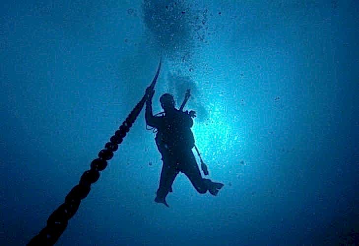 Lazy Seal Diving profesyonel, kaliteli ve kişiselleştirilmiş eğitim sunmayı ilke edinmiş bir tüplü dalış (scuba) merkezidir. İstanbul tüplü dalış eğitimi merkezi